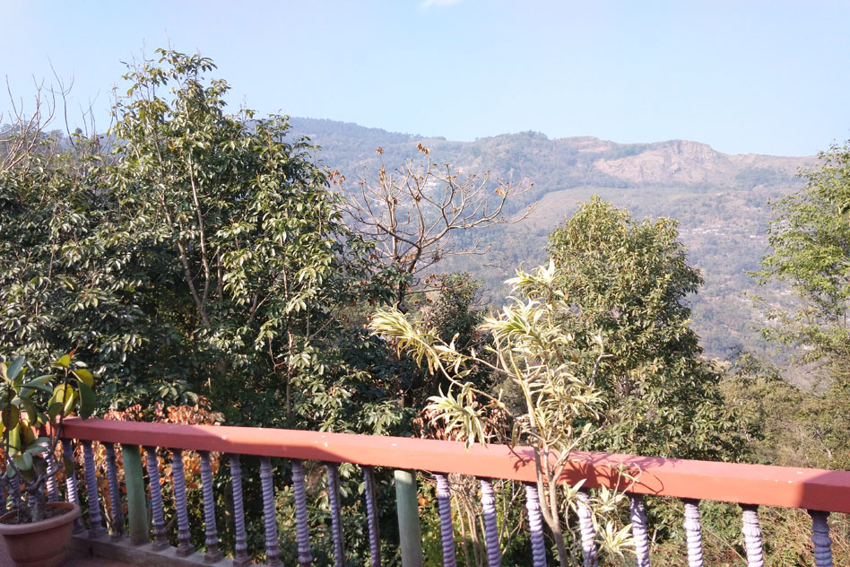 Cottage Lachay in Darjeeling Blossom Ecotourism , Chota Mangwa