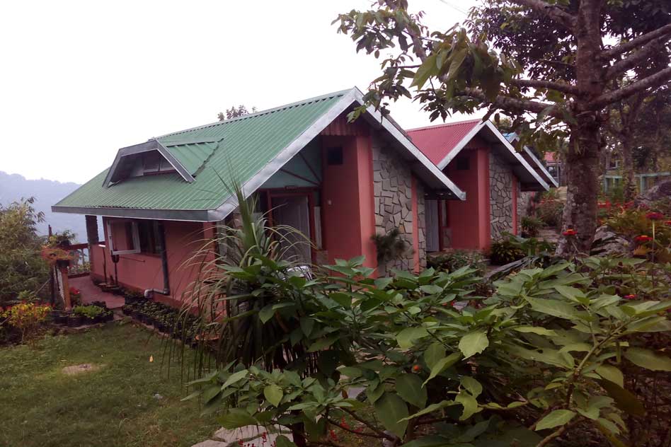 Darjeeling Blossom Ecotourism ,Chota Mangwa